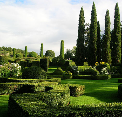 Taille de haies, fruitiers, rosiers et plantes grimpantes